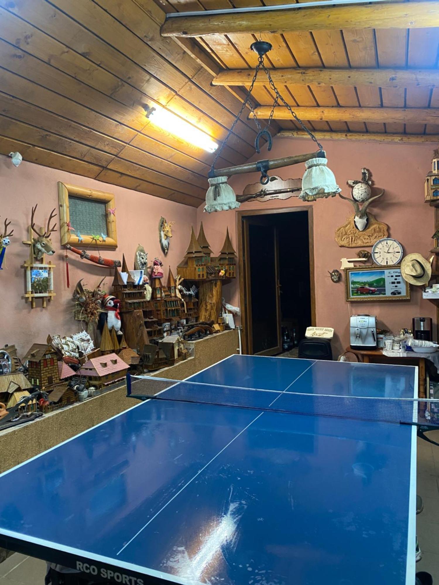 Cabana Cu Teren De Tenis -- Parter Banita Exterior foto